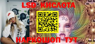 прущие грибы Долгопрудный