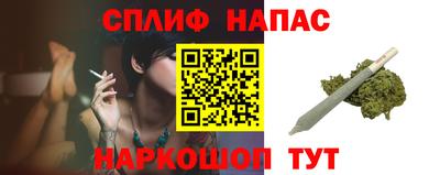 прущие грибы Долгопрудный