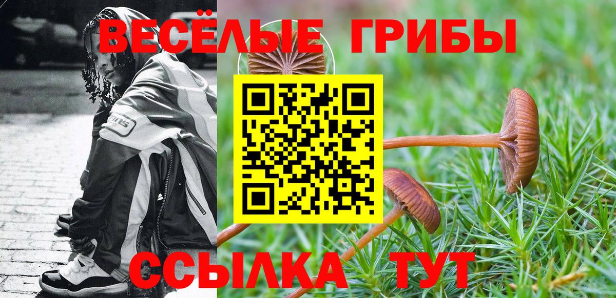 Псилоцибиновые грибы прущие грибы Осинники